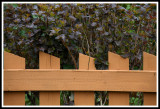 Fence Pattern