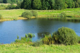 IMGP8597c.jpg