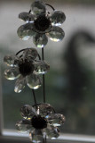 12 january 2011