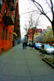 New York City Winter Colour