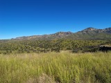 Ruby Road, a Truly wild area of Arizona