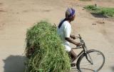 Youve seen all the street pictures. No litters on the road. Hyderabad is clean.