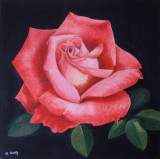 acrylic painting: Rose