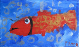 fish, Fiona, age:4