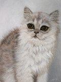acrylic painting: cat