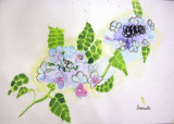 flower, Danielle, age:8