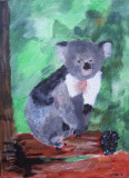 koala, Kong Ling, age:8