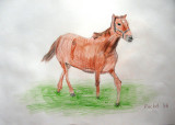 horse, Rachel Teh, age:9