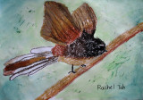 bird, Rachel Teh, age:9