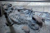  Skeletons found in the ruins preserved forever