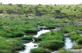 Sand River is roughly the border between Kenya and Tanzania