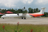 Air Philippines Express RP-C3033