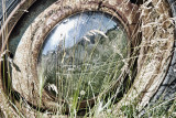Reflections Past