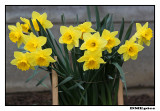 7 april 2011.jpg