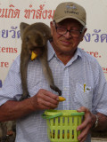 The old man and the monkey