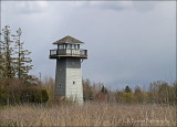 Observation Tower