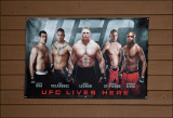 UFC Advertising