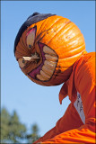 Pumpkin Man