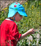 Girl in the Wildflowers<br>Weekly Challenge #111: Complimentary Colours