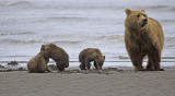 MOM CHECKING HER SURROUNDINGS