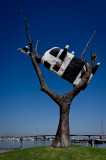 Cow in a Tree