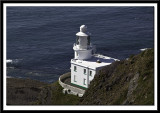 The Lighthouse