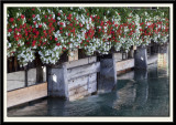 Flowered Sluice