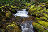 cascades and waterfalls on Laurel Fork 3