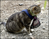 Chester,  Zoo Staff