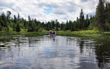 Beaver Pond