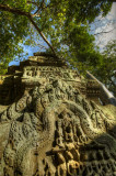 120103 Angkor 171_2_3.jpg