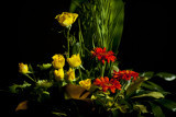 11-365 120619 F2 Flowers 007_1 sm.jpg
