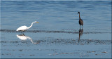 IMG_9477_edited-1.jpg