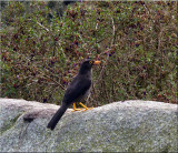 IMG_2966_edited-1.jpg