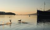 Dawn over lake Titicaca