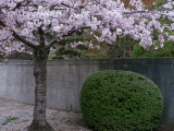 20110409_Vancouver_0197.jpg