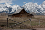 20110515_Yellowstone_0113.jpg