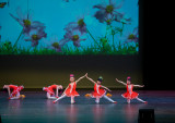 20110529_Red Dance Shoes_0114.jpg