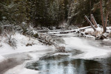 20111124_Banff_0013.jpg