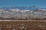 20111210_Bosque_0784.jpg