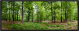 pano from 8 images portrait