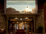Hotel Alyeska Lobby