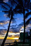 Hawaii_0018-copy.jpg