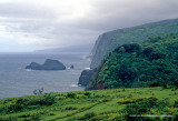 Hawaii_0069-copy.jpg