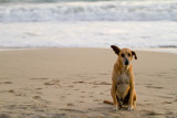 Dominican Republic-929.jpg