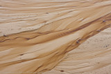 Australia-69.jpg