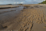 Australia-906.jpg
