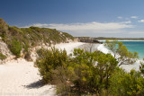 Australia-1697.jpg