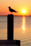 Cocoa Beach-8.jpg