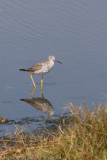 Merrick Island-24.jpg